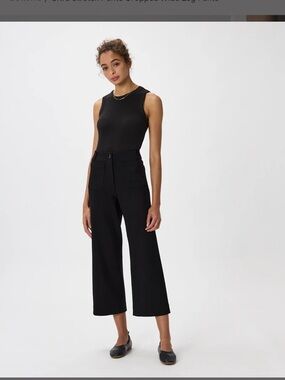 Quince Black Cropped Wide-Leg Pants